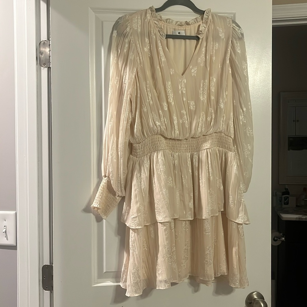 Womens Socialite Cream Dress with Embroidery Size Large